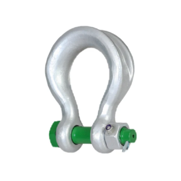 Screw Pin Chain Shackle D Type — 4