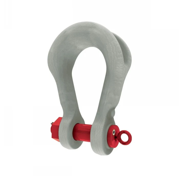 Screw Pin Chain Shackle D Type — 5