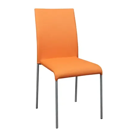 C925-1 Esszimmerstuhl aus Leder