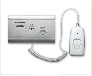 Embedded Extension