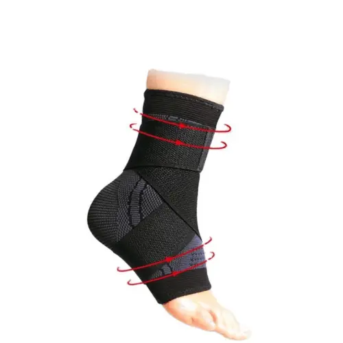 Physical Therapy and Rehabilitation