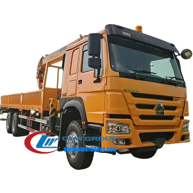10 wheel Sinotruk Howo 10tons crane truck for sale Algeria
