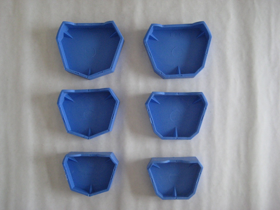 Bego Type Base Model Mould, Upper and Lower Jaw