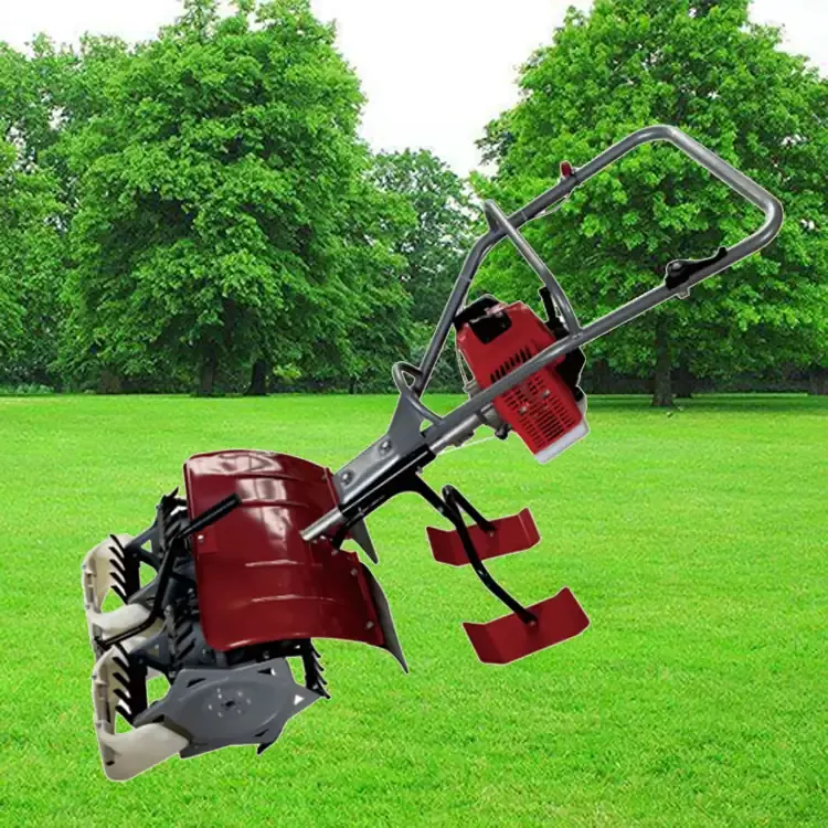Rice Field Weeder 2-Row SJ6002