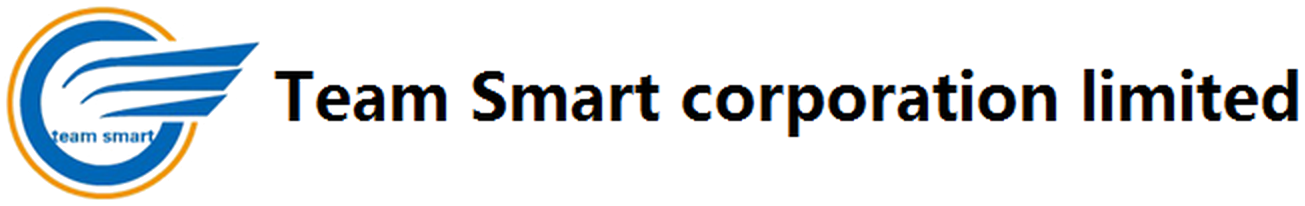 شعار Team Smart Corporation Limited