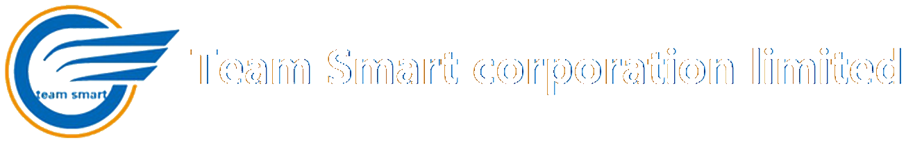 Logotipo de Team Smart Corporation Limited