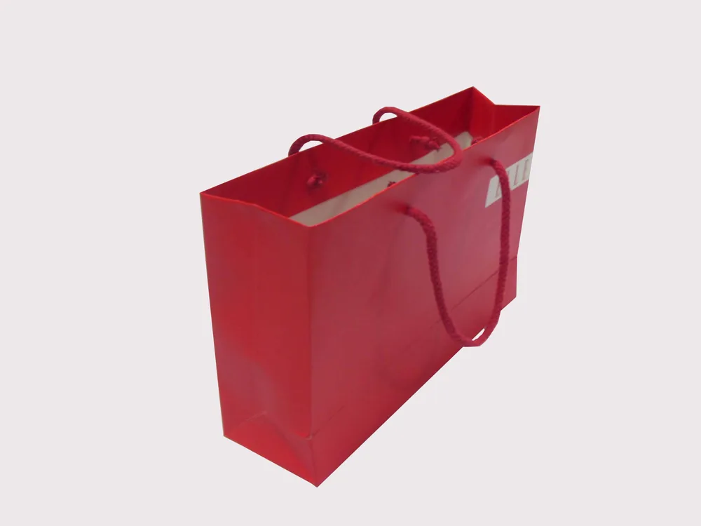 Paper Bag - Paper Shopping Bags by Teng Fei Packaging Manufactory