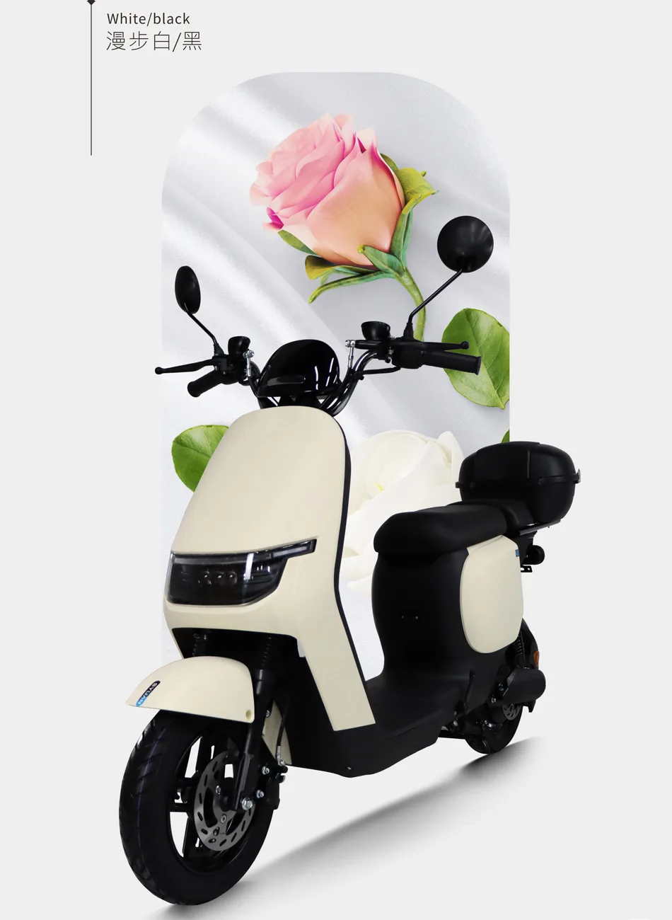 2024 — klappbarer E-Scooter mit 12 Zoll und 1000W, bis 50 km/h, städtisch und schnell, hochwertige Neuheit