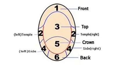 型紙のエリア区分