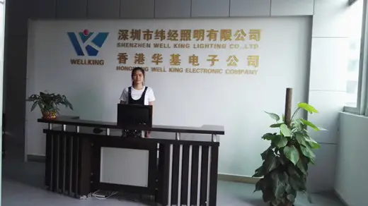 Shenzhen Well King Lighting