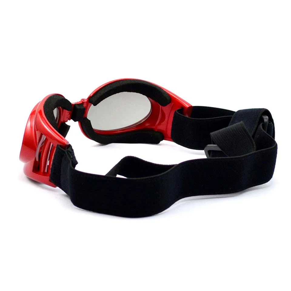 PG-BP002 goggles worn by a large dog during outdoor activity