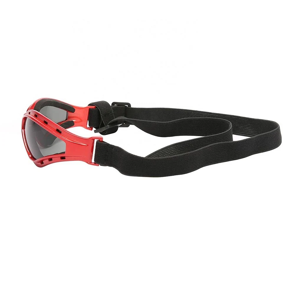 PG-BP005 dog goggles worn by a medium-sized dog during outdoor activity