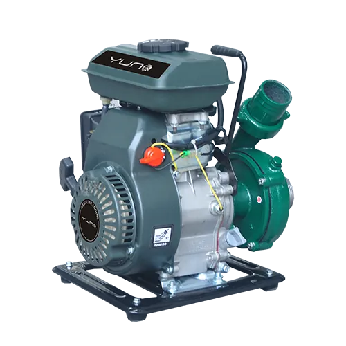 Cast Iron Pump GP20B-5/GP25B/GP30B/GP25B-9