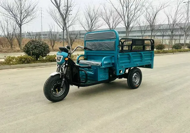 Electric Tricycle