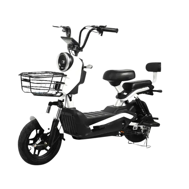 Electric Bicycle