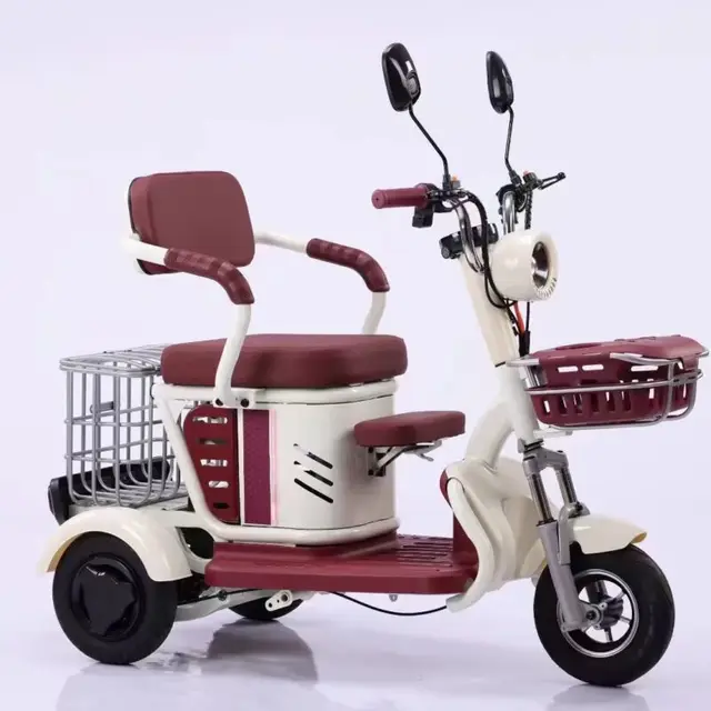 Specific Electric Tricycle
