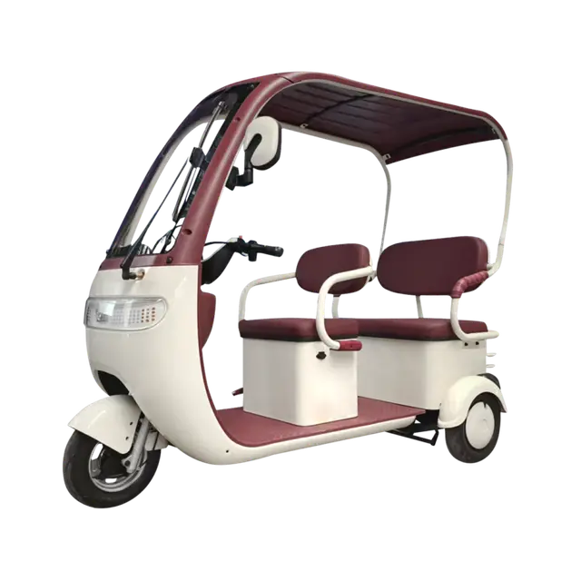 Electric Tricycle